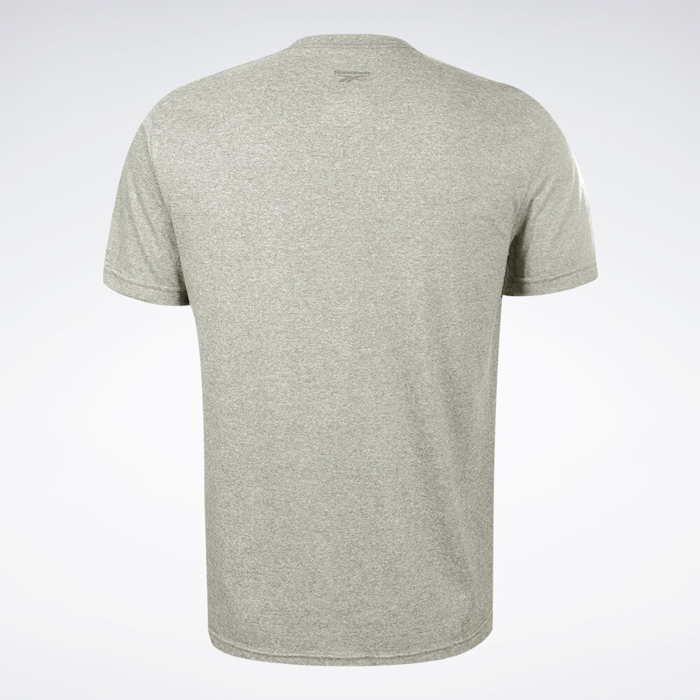 Camiseta Reebok Big  Star Crest Masculina