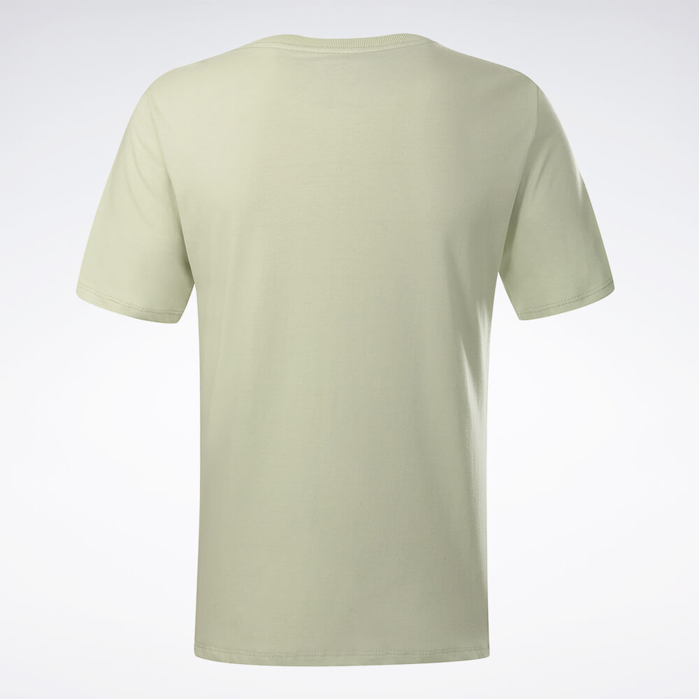 Camiseta Reebok Big Logo Feminina