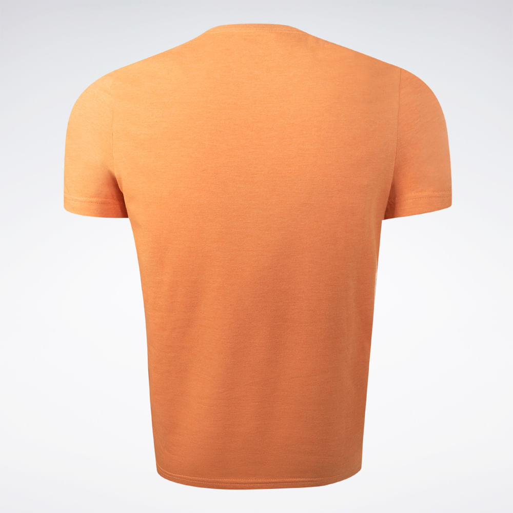 Camiseta Reebok Classics Logo V Masculina