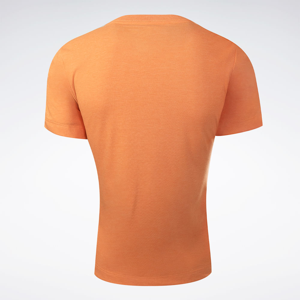 Camiseta Reebok Logo V Feminina